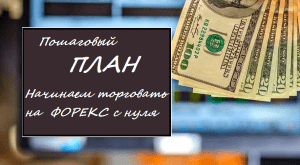 kak-nachat-torgovat-na-foreks-s-nulja-poshagovoe-rukovodstvo
