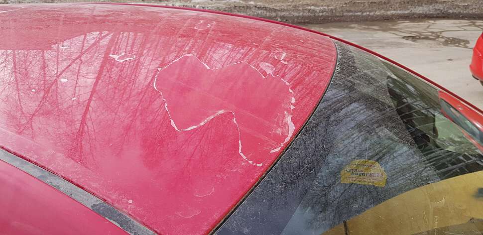 otsloenie-laka-na-kuzove-avtomobilja-prichiny-reshenie-i-profilaktika