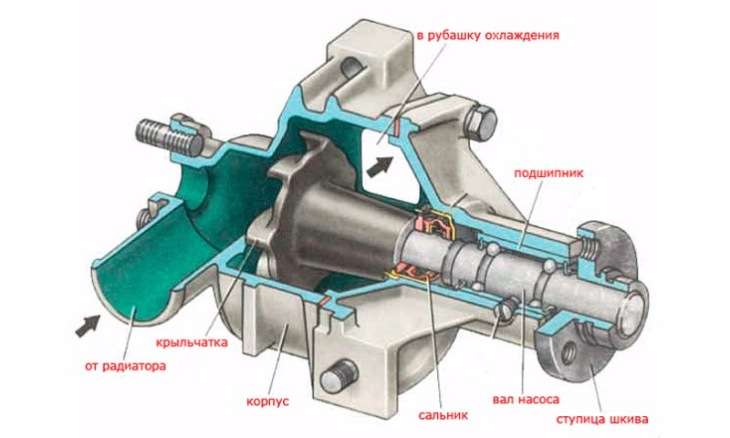 rol-i-princip-raboty-pompy-v-dvigatele-avtomobilja